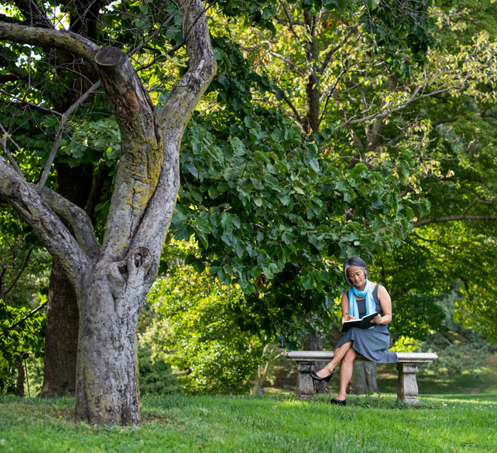 A woman sitting on the bench in front of a tree